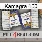 Kamagra 100 12
